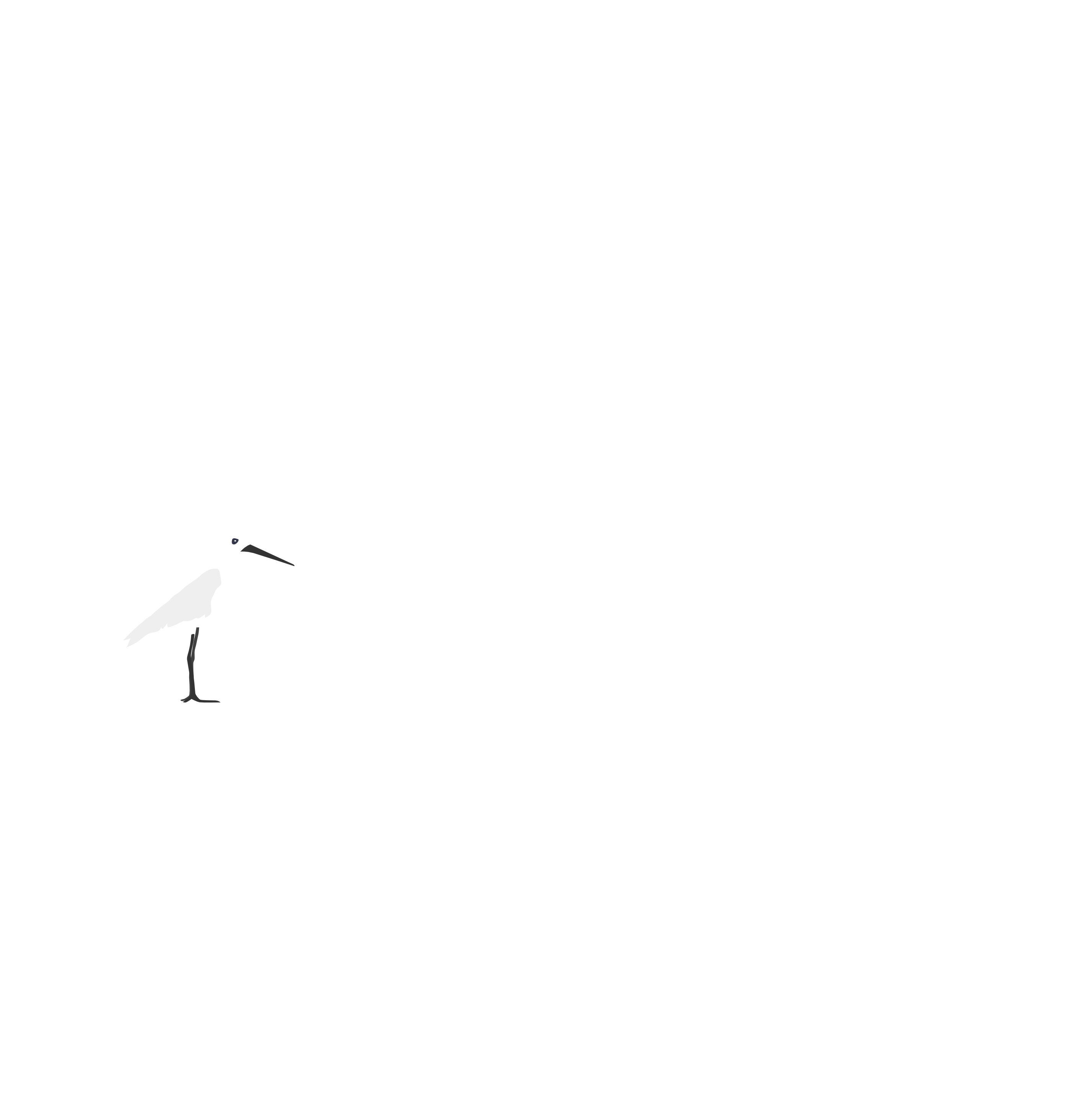 vogel illustratie